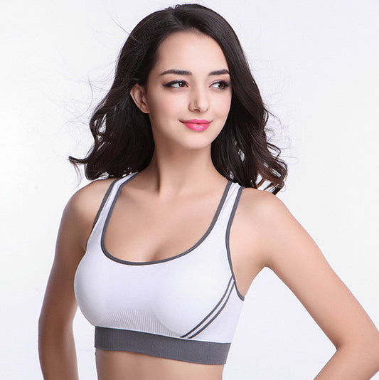 Seamless Padded Sports Bra