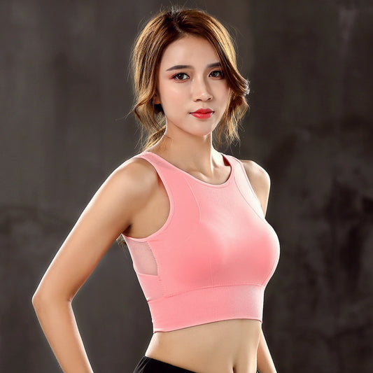 Seamless Mesh Sports Bra