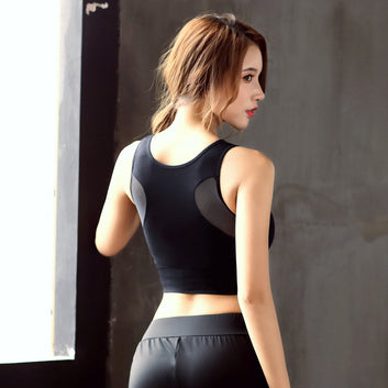 Seamless Mesh Sports Bra